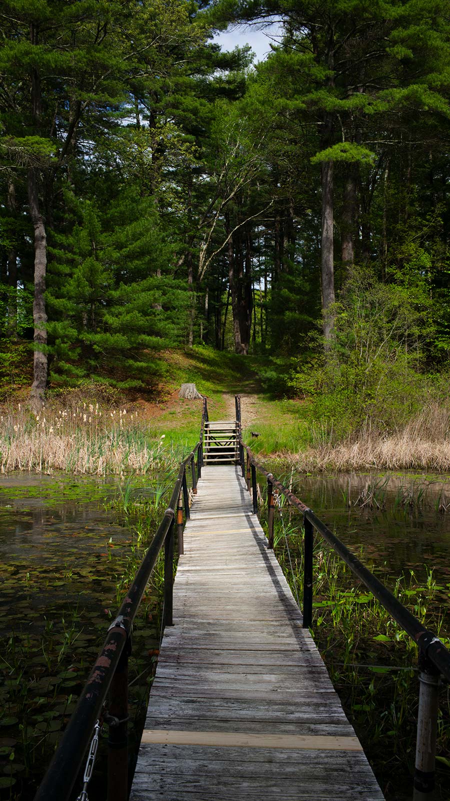 Innisfree Garden